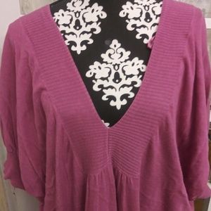 Canyon River Blues pink blouse sz 20/22